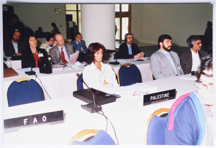 Nehaya Mohammad Taking Over Palestine's Seat in a Meeting Held by ESCWA 