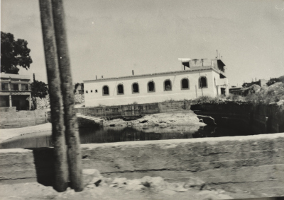 A Water Pond in a Palestinian Refugee Camp, Lebanon 