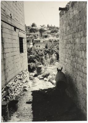 زقاق في مخيم للجوء الفلسطيني، جنوب لبنان