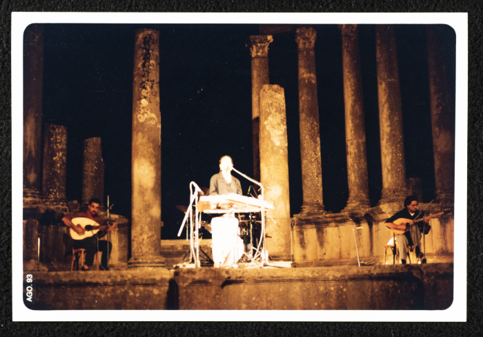 كاميليا جبران خلال أحد عروض فرقة صابرين في تونس 