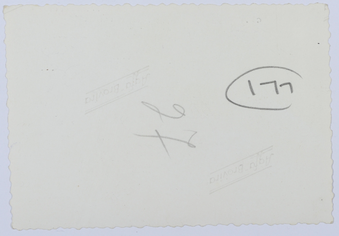 Mahira Dajani and Others, Iraq