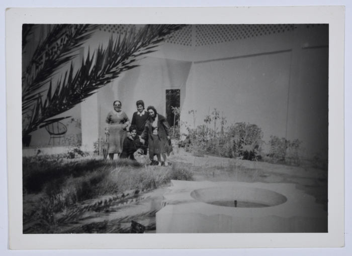 Mahira Dajani and Others, Babylon