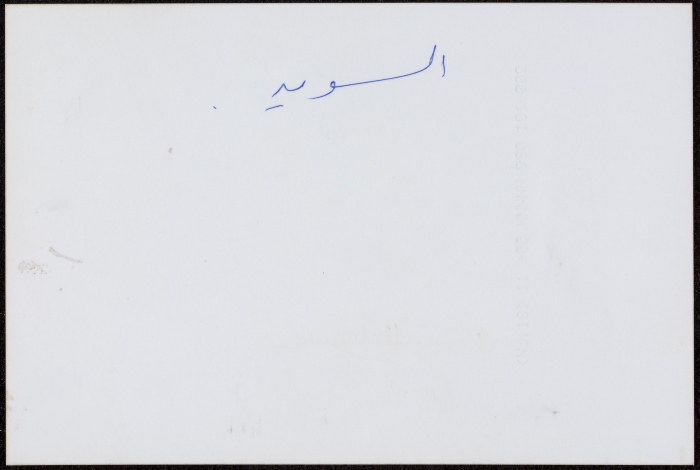 عصام مراد خلال عرض لفرقة صابرين في السويد 