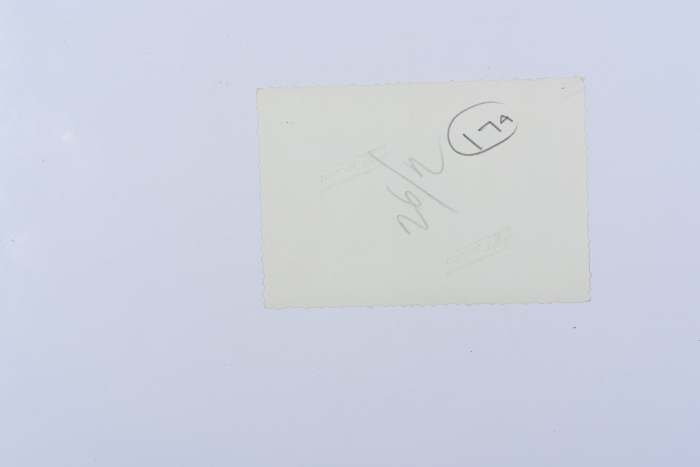 Mahira Dajani and Others, Iraq