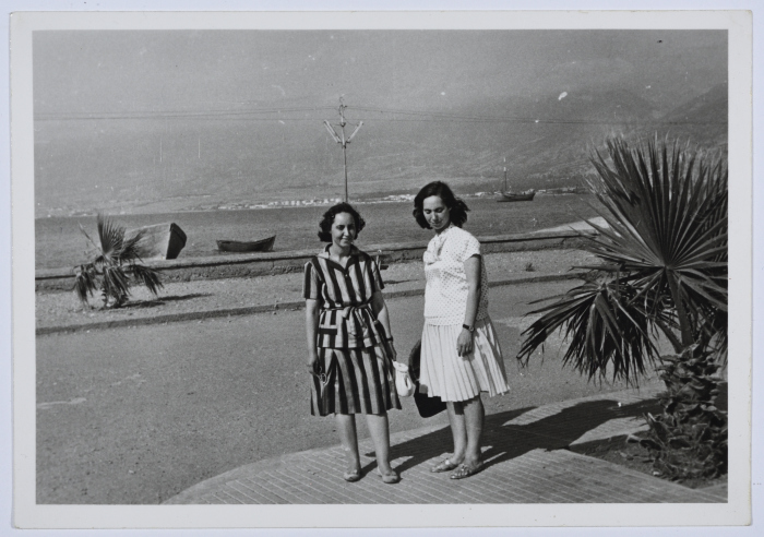 Mahira Dajani, Babylon