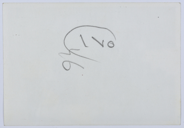 Mahira Dajani and Others, Turkey, 1962