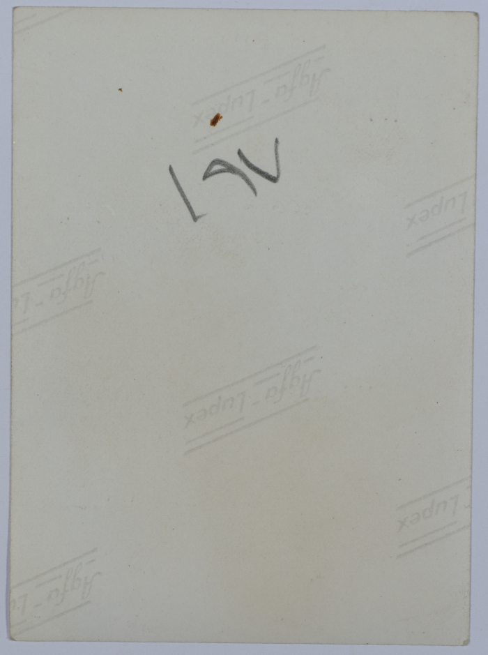 Mahira Dajani and Others, Giza