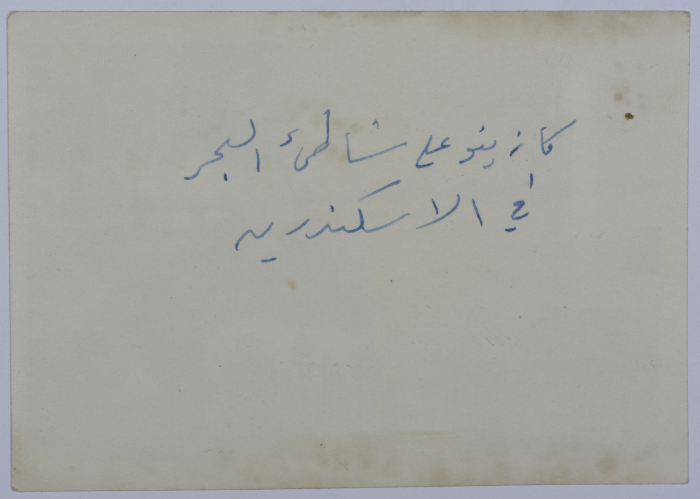 Mahira Dajani and Others, Alexandria