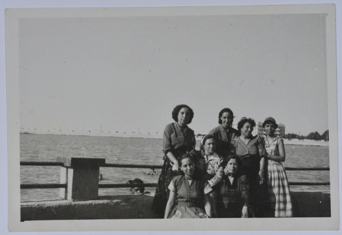 Mahira Dajani and Others, Suez