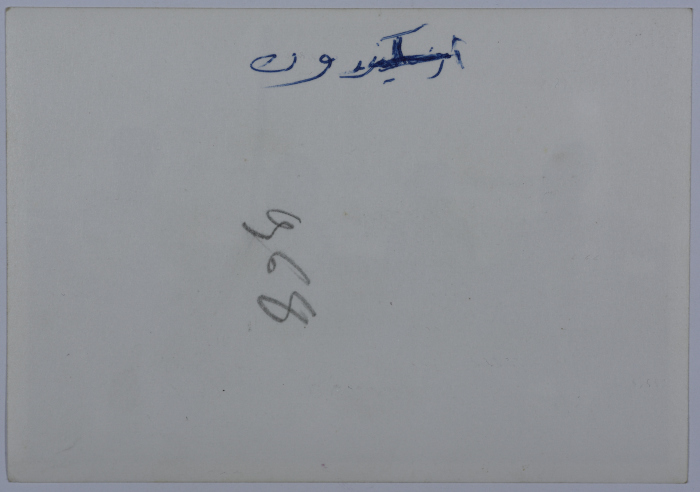 Mahira Dajani and Others, Egypt	