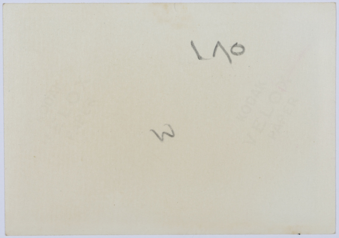 Mahira Dajani and Others, Babylon