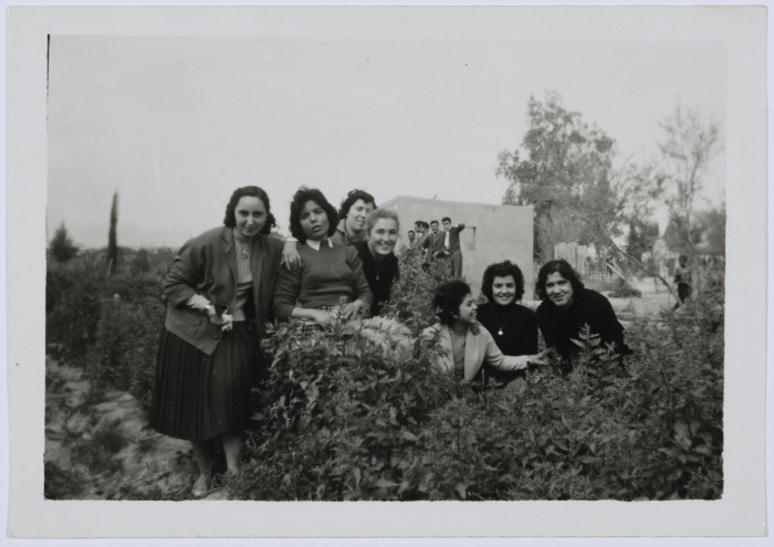 Mahira Dajani and Others, Babylon