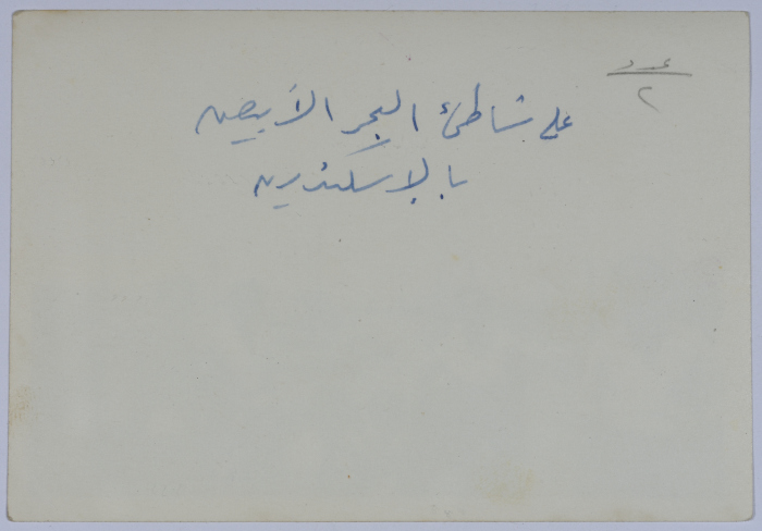 Mahira Dajani and Others, Alexandria