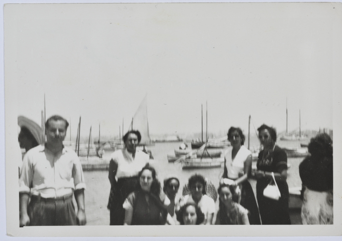 Mahira Dajani and Others, Alexandria