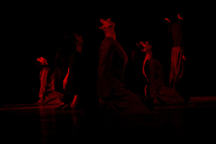 فرقة الفنون الشعبية عرض صور وذاكرة عام 2008