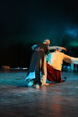 فرقة الفنون الشعبية عرض صور وذاكرة عام 2009