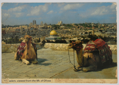 A postcard sent to Nael Al Barghouthi
