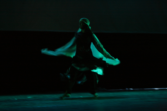 فرقة الفنون الشعبية عرض صور وذاكرة عام 2009