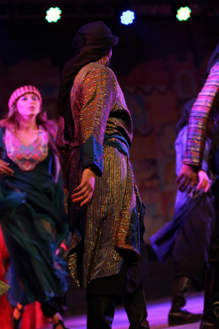 فرقة الفنون الشعبية عرض للحرية نرقص عام 2013