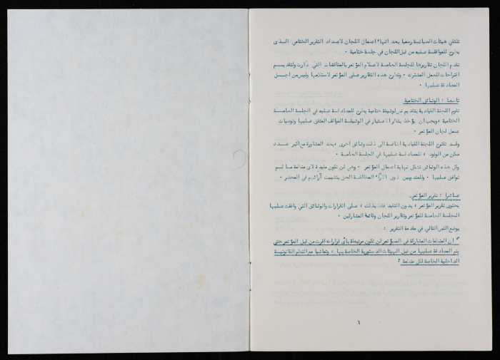 The World Conference of the International Women's Year, Policies and Procedures