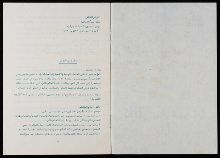 The World Conference of the International Women's Year, Policies and Procedures