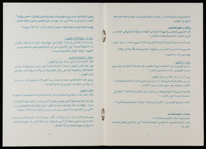 The World Conference of the International Women's Year, Policies and Procedures