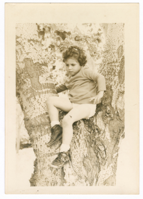 طفلة من عائلة نايف أبو غزالة