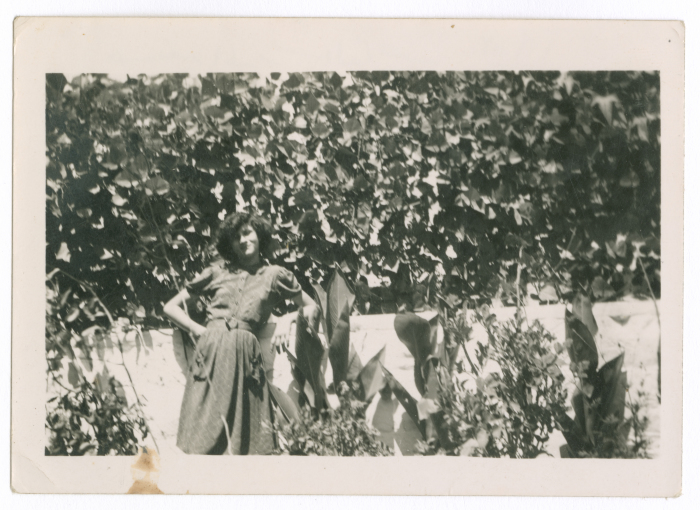 سهام نايف أبو غزالة