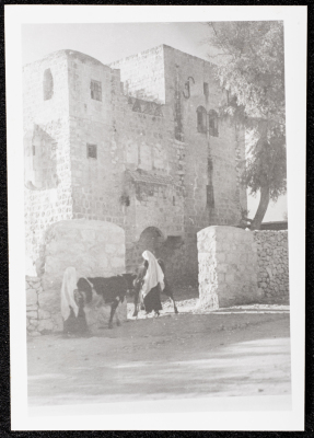 A Glimpse of the Village of Dayr Ghassana