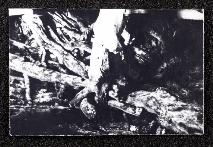 The Wooden Ceiling of an Old House 