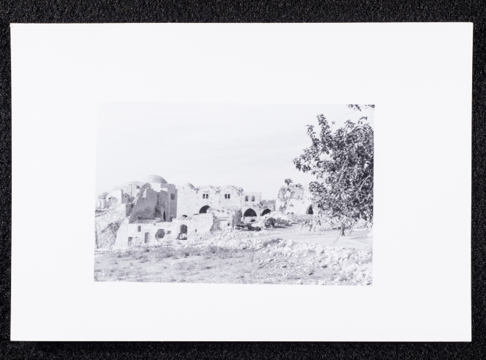 A Photograph of Kur, Tulkarm