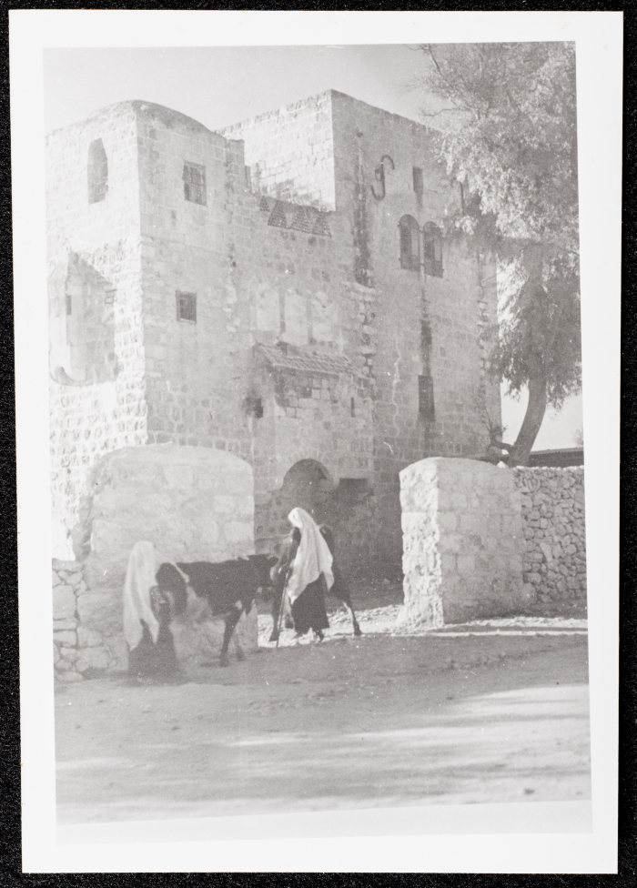 A Glimpse of the Village of Dayr Ghassana