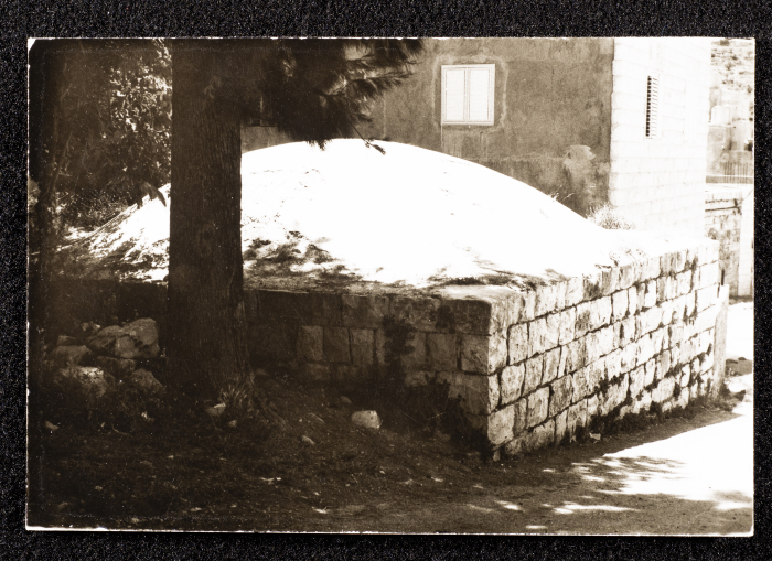 A Glimpse of the Village of Dayr Ghassana