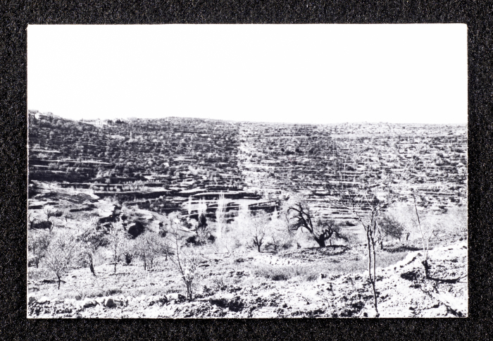 A Panoramic View of Deir Ghassaneh Village
