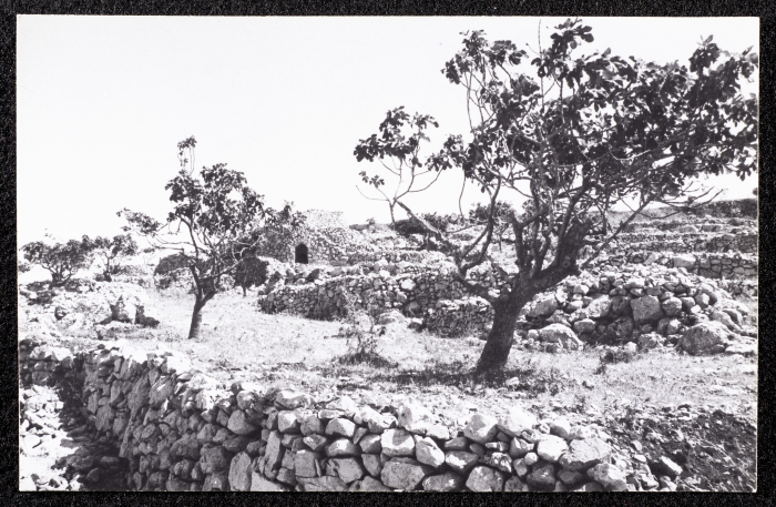 An Old Castle in Ramallah 