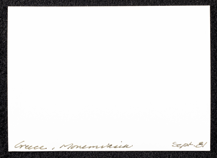 A Glimpse of Old Houses on a Mountain in Greece 