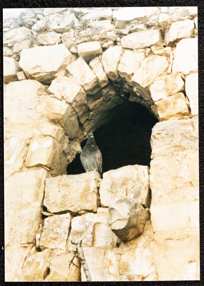 A Photograph of Ṣaleh al-Barghuthy's Mansion in Deir Ghassaneh Village
