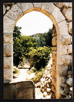 A Photograph of Ṣaleh al-Barghuthy