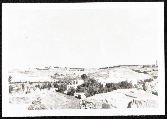 جبل الزيتونة في القدس