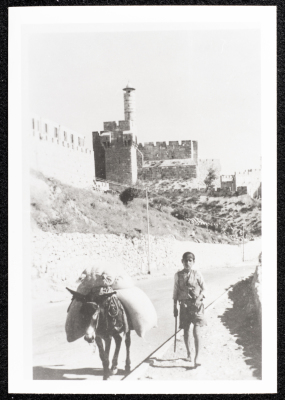 Jerusalem Citadel in Jerusalem