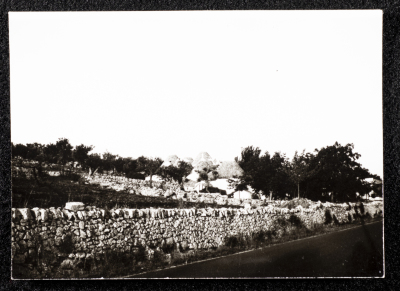 A Panoramic View from Suʿad al-ʿĀmery