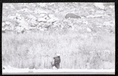 A Photograph of the Wheat Harvest Season in Tell en-Nasbeh, al-Bireh City
