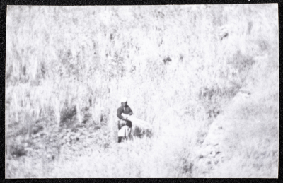 A Photograph of the Wheat Harvest Season in Tell en-Nasbeh, al-Bireh City
