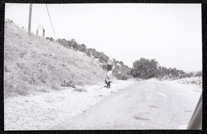 صورة من حصاد القمح في تل النصبة، مدينة البيرة
