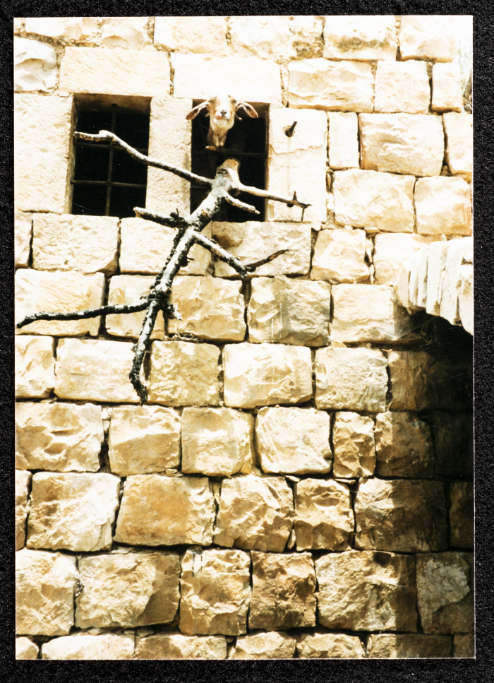 صورة من حوش الشعيبي في دير غسانة، قضاء رام الله