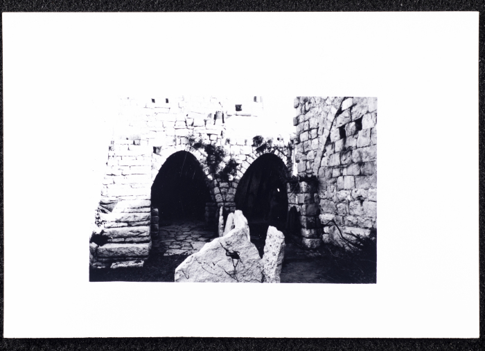 A Glimpse of the Village of Dayr Ghassana