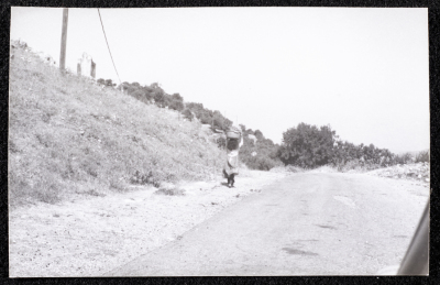 صورة من حصاد القمح في تل النصبة، مدينة البيرة
