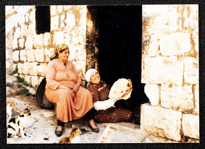 صورة لقصر صالح البرغوثي في قرية دير غسانة