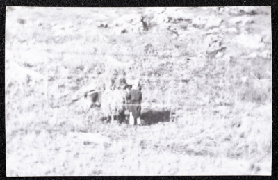 A Photograph of the Wheat Harvest Season in Tell en-Nasbeh, al-Bireh City
