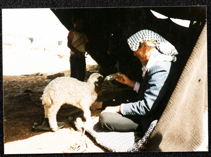 A Photograph Capturing the Bedouin Life in Gaza Strip 